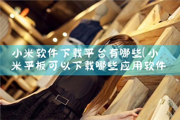 小米软件下载平台有哪些|小蓝视频