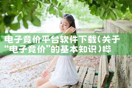 电子竞价平台软件下载|哔咔漫画