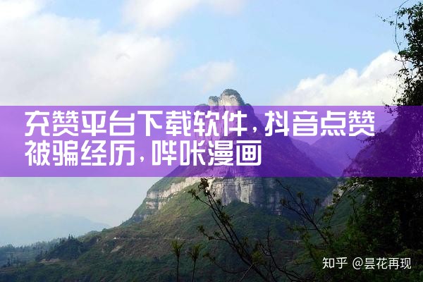 充赞平台下载软件|哔咔漫画