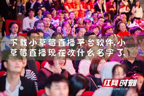 下载小草莓直播平台软件|小蓝视频