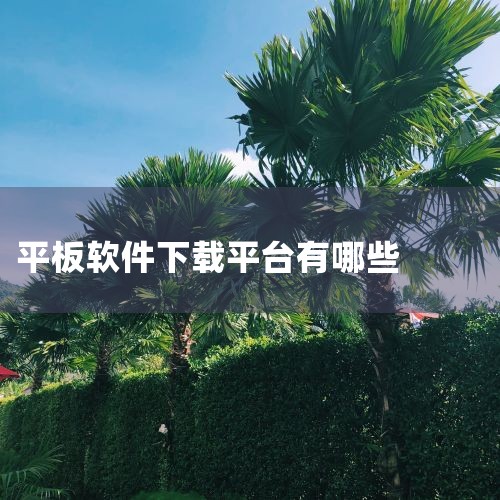 平板电脑好用的下载软件有不少，以下为你详细介绍：一、应用宝1. 软件资源丰富：几乎涵盖了各类热门的安卓应用，无论是游戏、办公软件、学习软件还是生活实用工具等，都能在这里找到。比如热门的手游王者荣耀、和,哔咔漫画